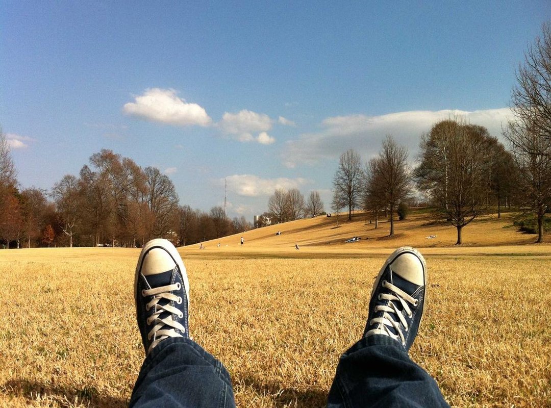 Planning Your Visit: Location, Hours, and Tips