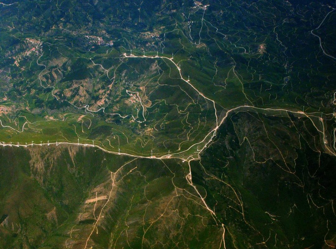 Beyond Text: Using Voice, Camera, and Offline Features