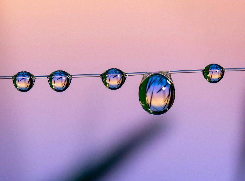 home inspection importance