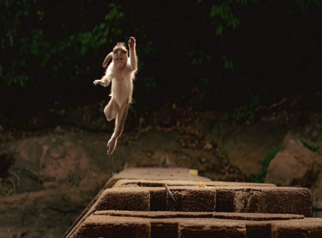 How Can I Repair My Aircon Appcproperty