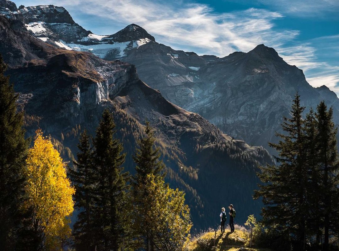 Why This Tradition Endures: The Heartbeat of Family and Community