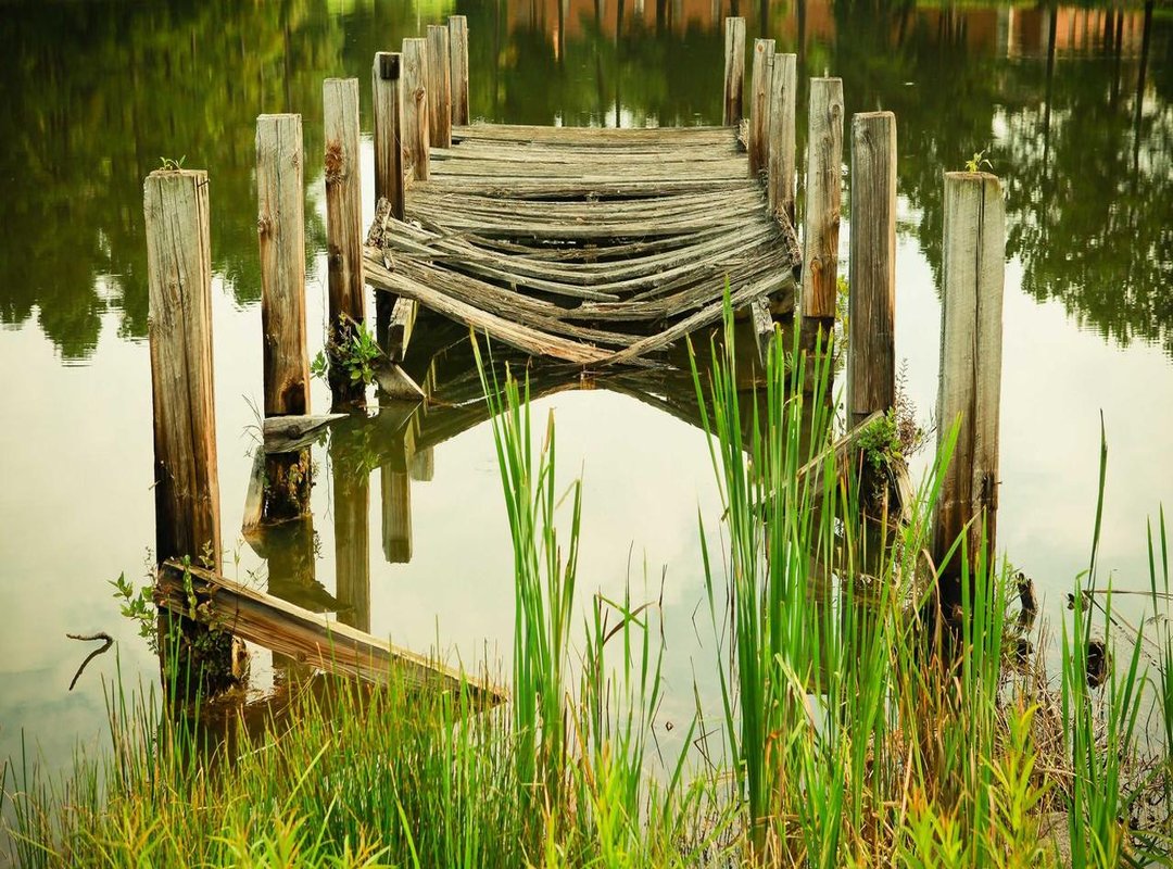 From Expletive to Meme: How Social Media Changed 'Bombaclaat'